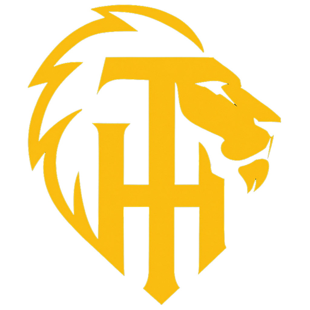 Logo THINFORMA - Toni Heringer